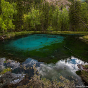 Blue springs of Saula & Village of Vikings (4 hours)