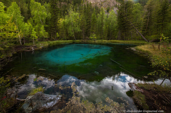 Blue springs of Saula & Village of Vikings (4 hours)