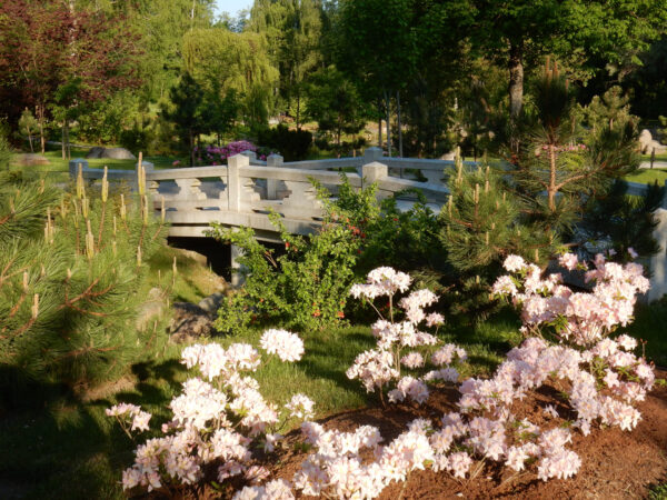 Old town, Kadriorg, Japanese Garden, Pirita, Tallinn TV tower (3 hours) - Image 6