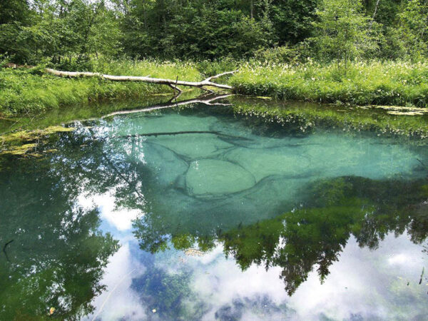 Blue springs of Saula & Village of Vikings (4 hours) - Image 2