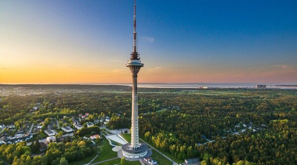 Old town, Kadriorg, Japanese Garden, Pirita, Tallinn TV tower (3 hours) - Image 5