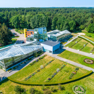 Old town, Kadriorg, Japanese Garden, Pirita, Tallinn TV tower, Botanic Garden (4 hours)