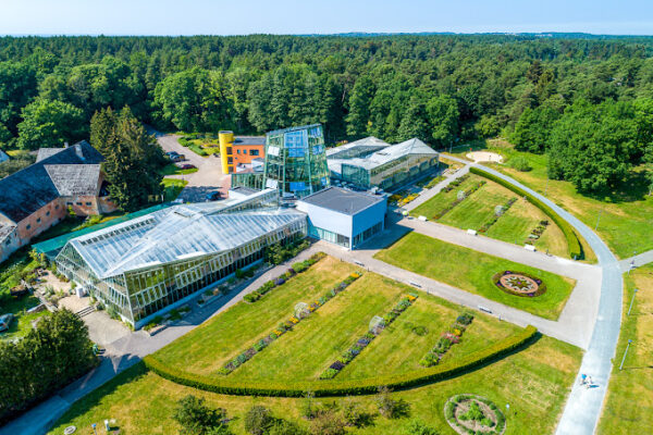 Old town, Kadriorg, Japanese Garden, Pirita, Tallinn TV tower, Botanic Garden (4 hours)