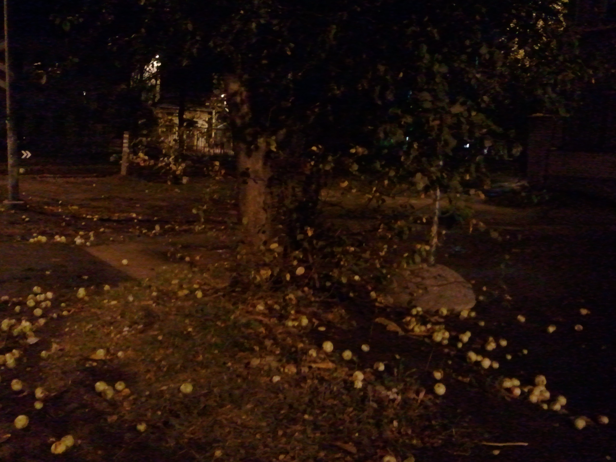 Tallinn Food & Market Tour